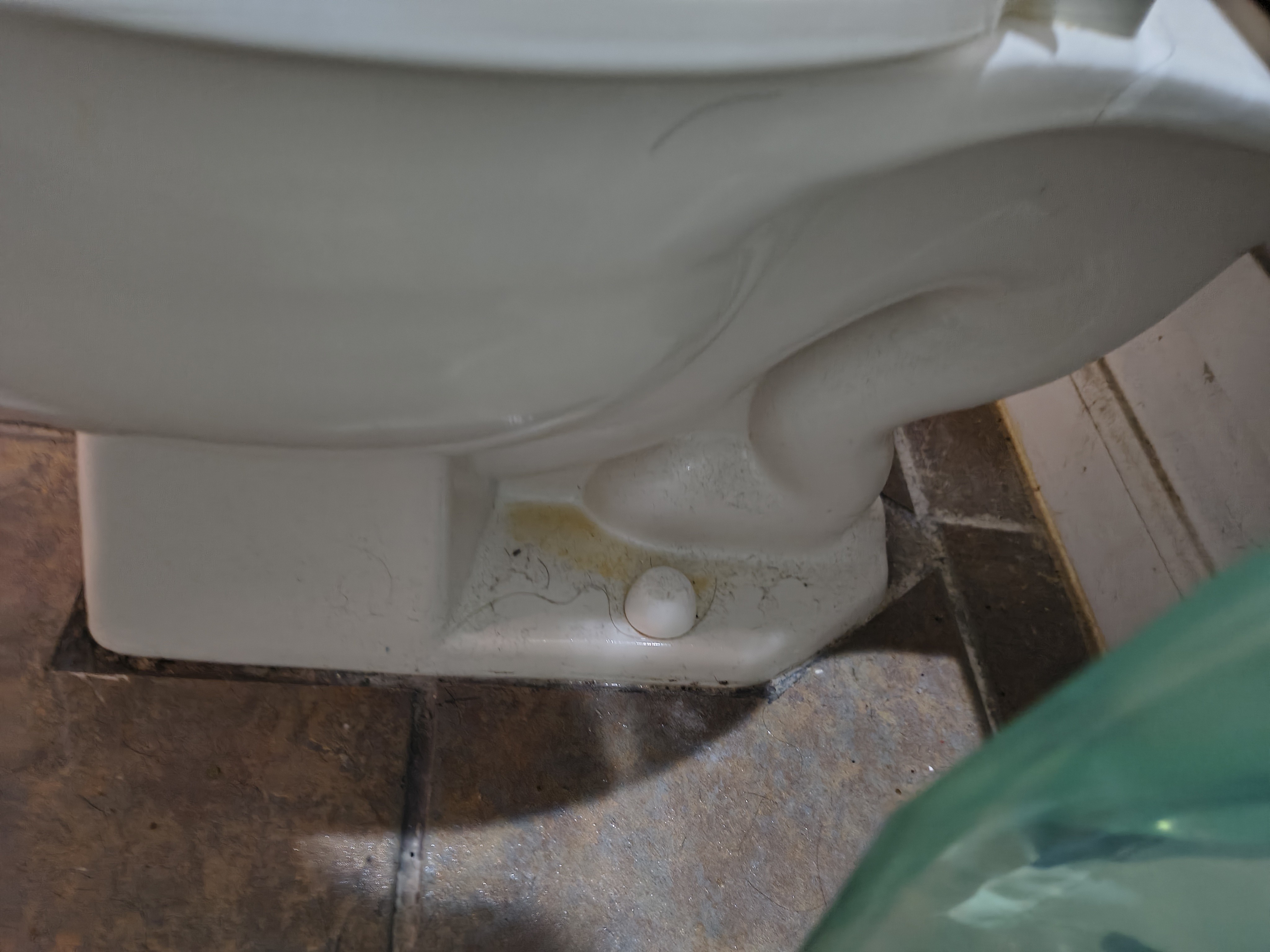 Before toilet base cleaning